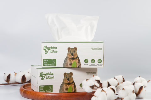 Bulk Tissues 200 sheets x 54 packs