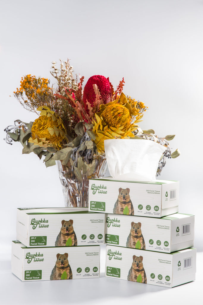 Bulk Tissues 200 sheets x 54 packs