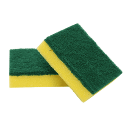 Sponge Scourer