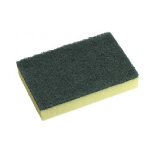 Cleaning Sponge Scourer - Pack of 10